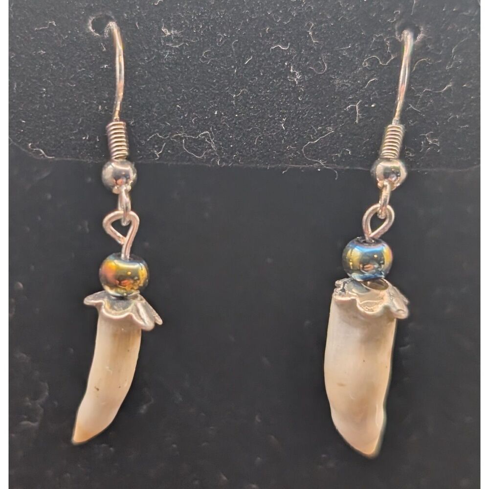 Genuine Alligator Teeth Earrings S925 Silver w/ COA Natural Wildlife Jewelry